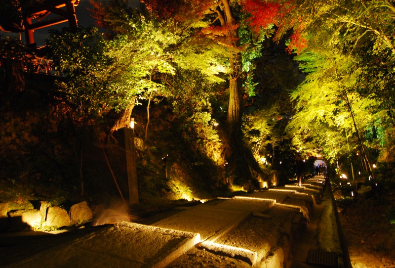Light up of fall colors at Kodaiji Temple, Kyoto