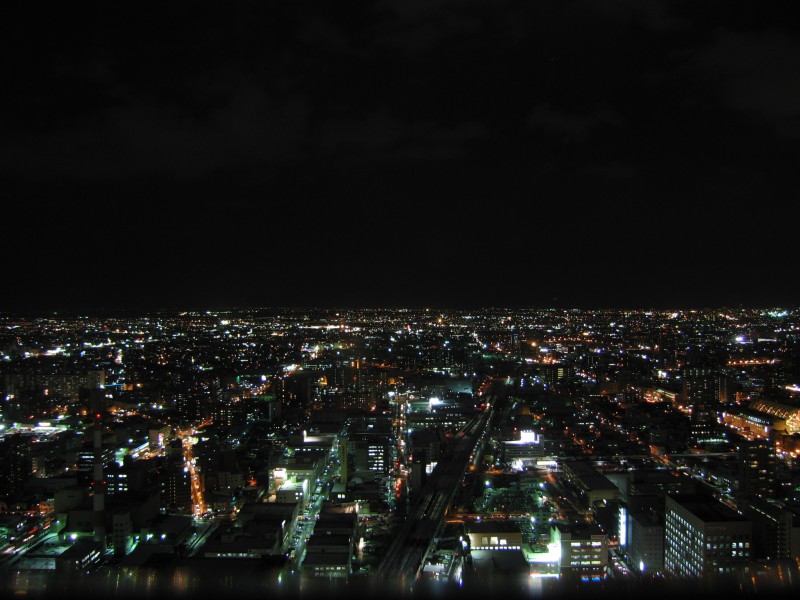View of Sapporo from the JR Tower