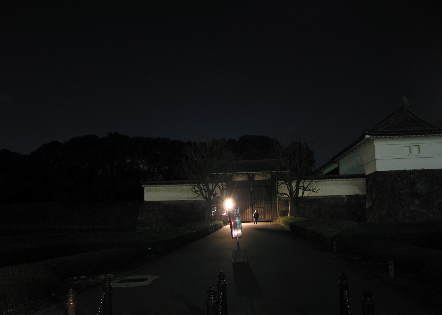 Imperial Palace: The Last Refuge of Darkness in Tokyo